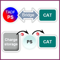 Organic molecules and materials to promote noble metal-free and coupled light-driven catalysis